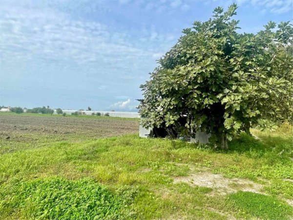 terreno agricolo in vendita a Battipaglia
