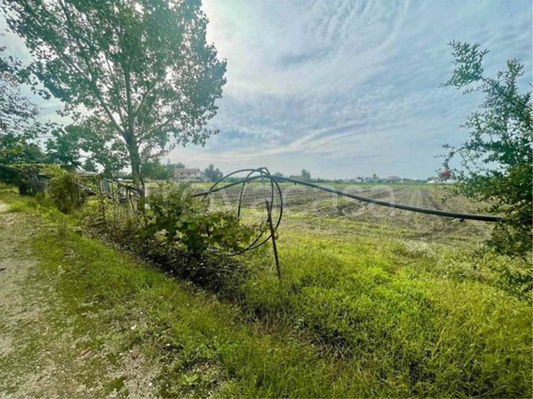 terreno agricolo in vendita a Battipaglia