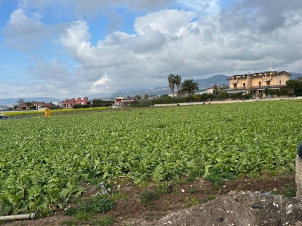 terreno agricolo in vendita a Battipaglia in zona Serroni