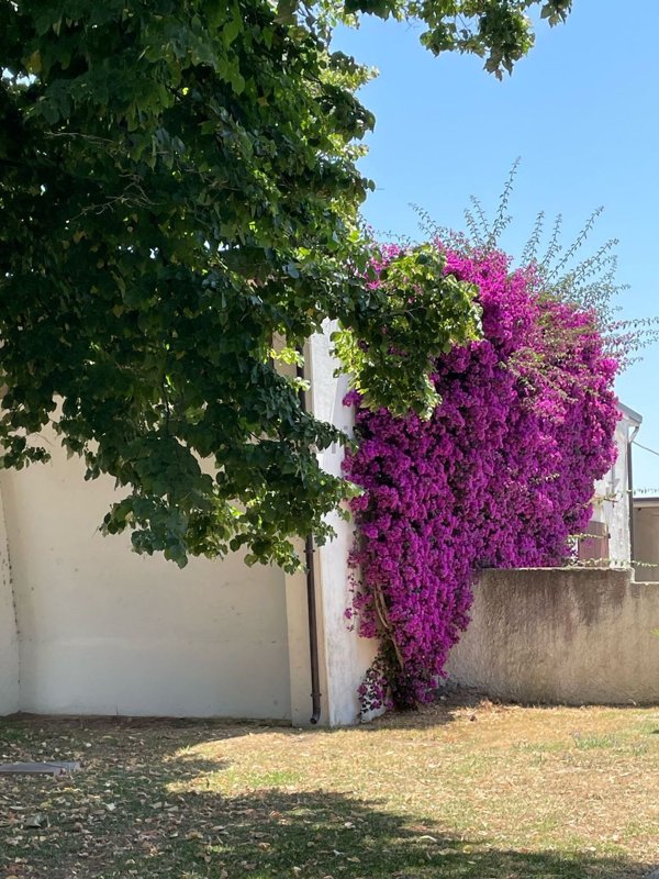 casa indipendente in vendita a Battipaglia