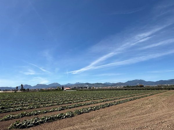 terreno agricolo in vendita a Battipaglia