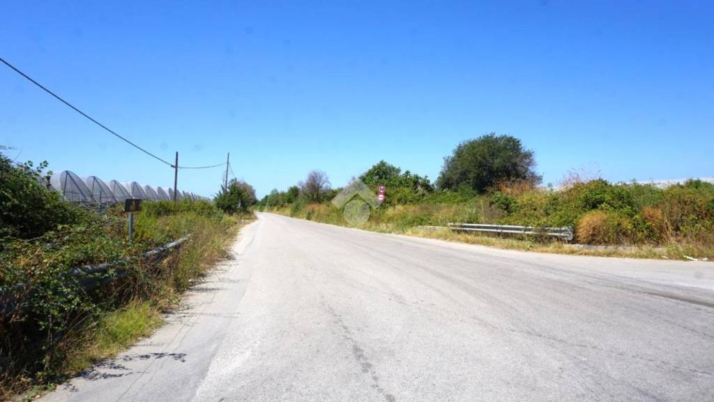 terreno agricolo in vendita a Battipaglia in zona Santa Lucia Inferiore