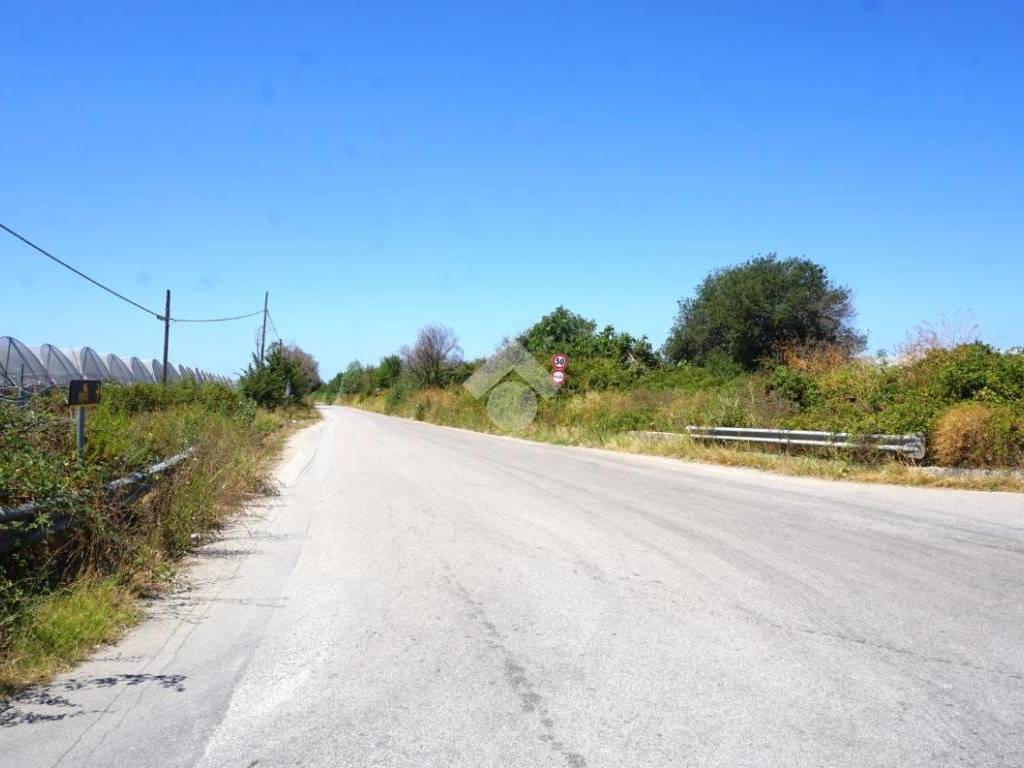 terreno agricolo in vendita a Battipaglia in zona Santa Lucia Inferiore