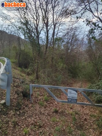 terreno agricolo in vendita a Bellosguardo