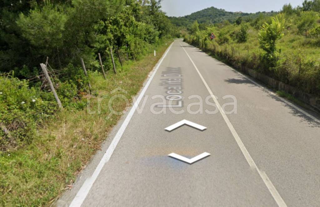 terreno agricolo in vendita a Bellosguardo