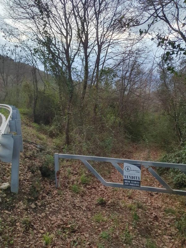 terreno agricolo in vendita a Bellosguardo
