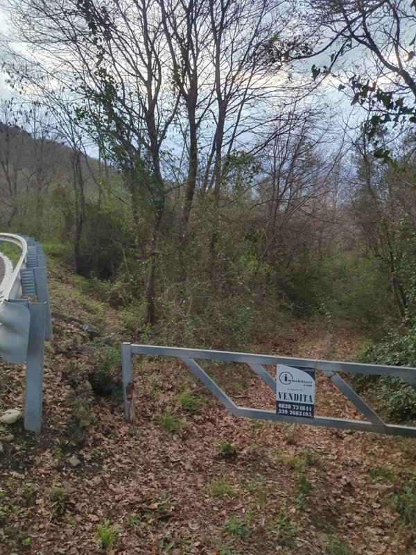 terreno agricolo in vendita a Bellosguardo