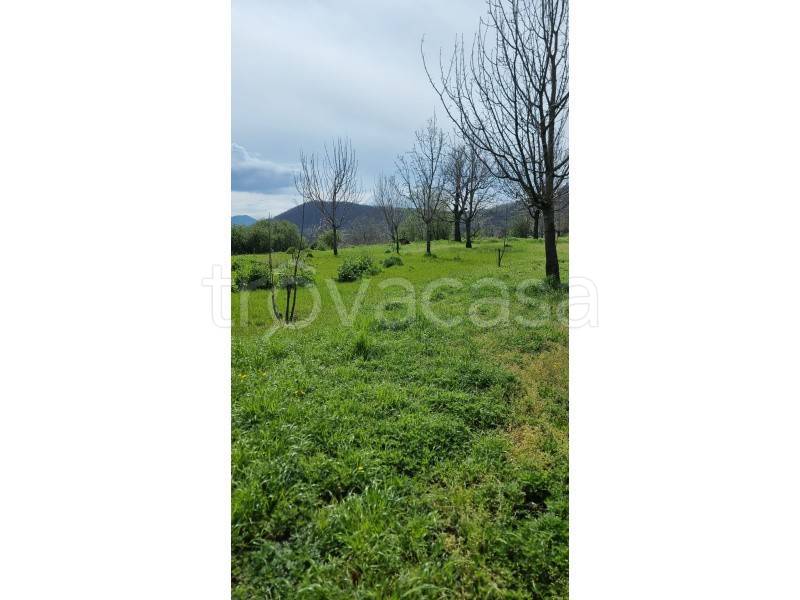 terreno agricolo in vendita a Bracigliano