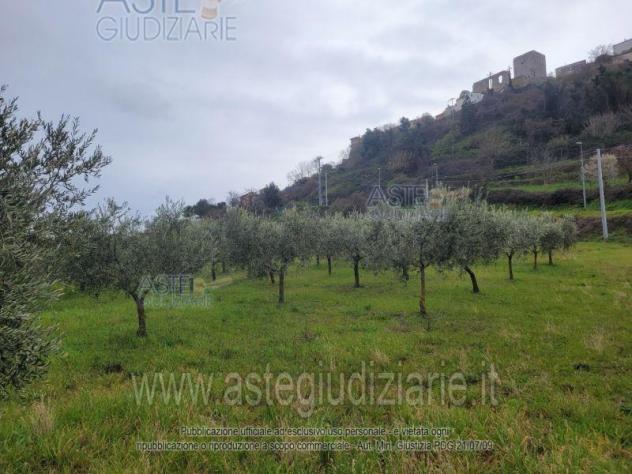 terreno edificabile in vendita a Buccino