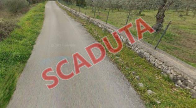 terreno agricolo in vendita a Buccino