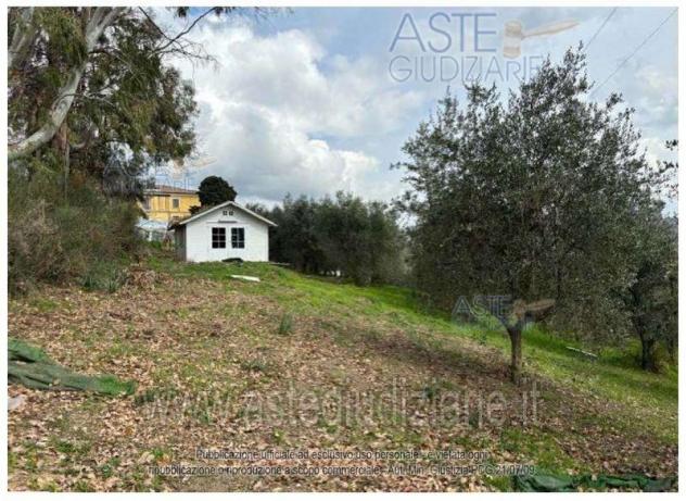 terreno agricolo in vendita a Buccino
