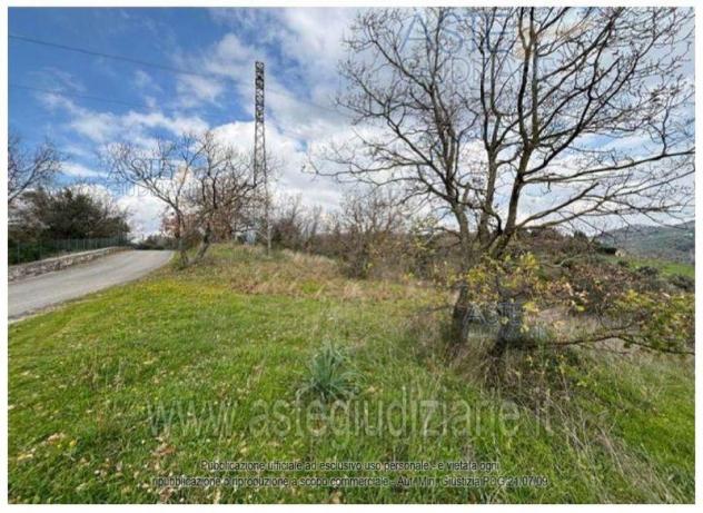 terreno agricolo in vendita a Buccino