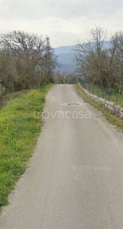 terreno agricolo in vendita a Buccino