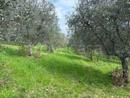 casa indipendente in vendita a Buccino