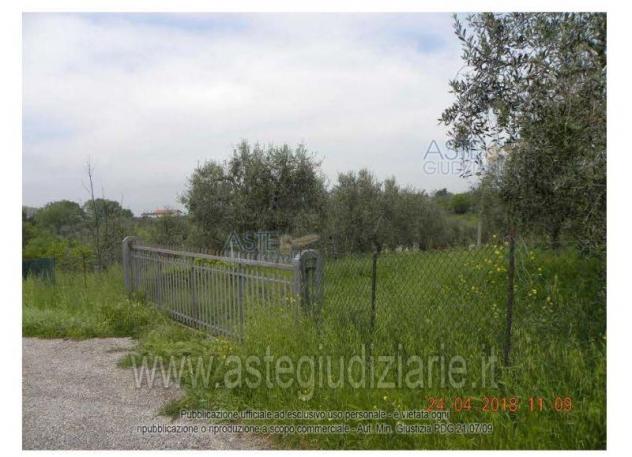 terreno agricolo in vendita a Buccino