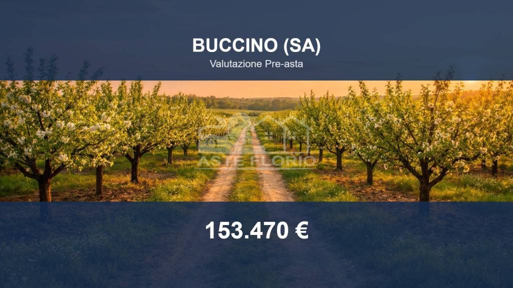 negozio in vendita a Buccino
