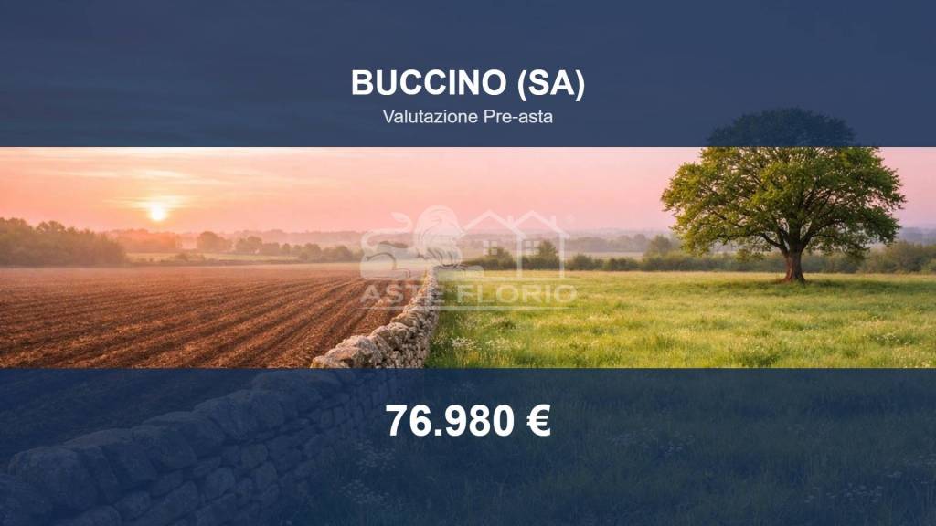 terreno agricolo in vendita a Buccino