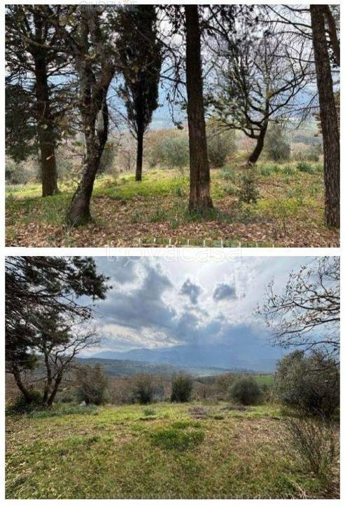 terreno agricolo in vendita a Buccino
