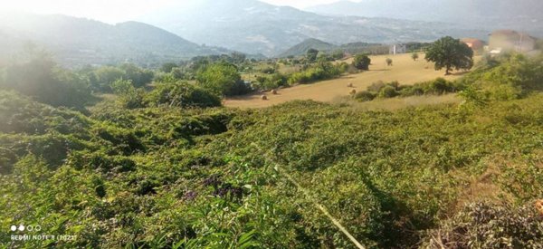 terreno agricolo in vendita a Buccino