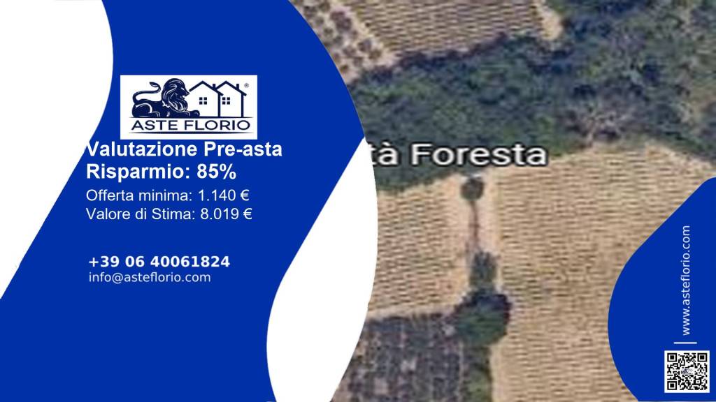 terreno agricolo in vendita a Caggiano