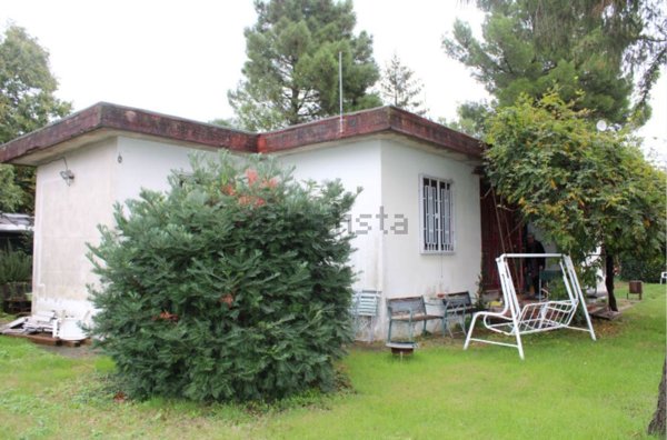 pentavano in vendita a Calvanico