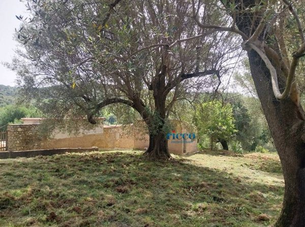 terreno agricolo in vendita a Camerota in zona Lentiscosa