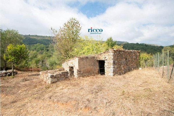 terreno agricolo in vendita a Camerota
