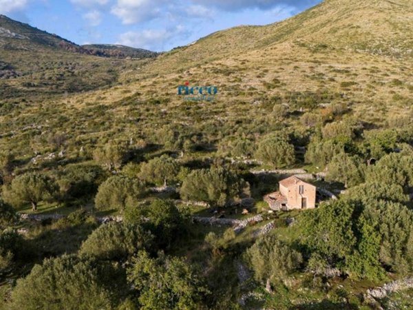 terreno agricolo in vendita a Camerota in zona Lentiscosa