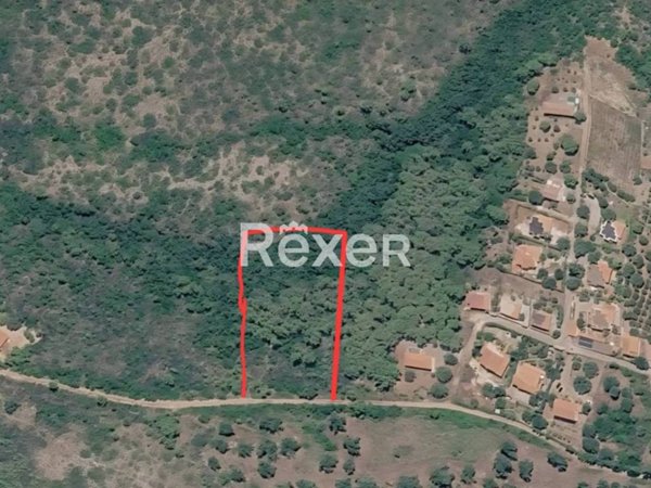 terreno agricolo in vendita a Camerota in zona Marina di Camerota