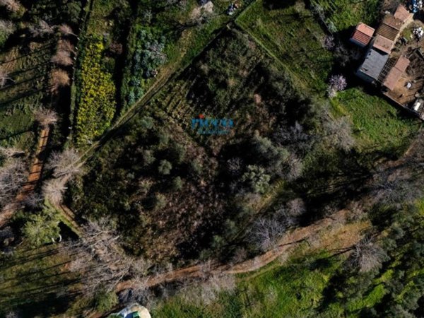 terreno agricolo in vendita a Camerota