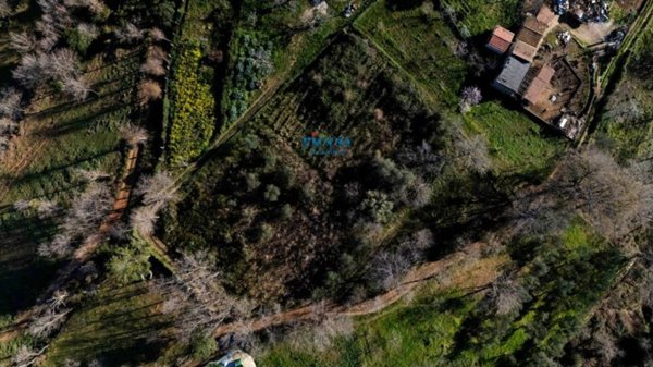 terreno agricolo in vendita a Camerota