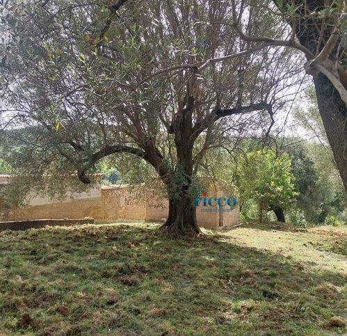 terreno agricolo in vendita a Camerota in zona Lentiscosa