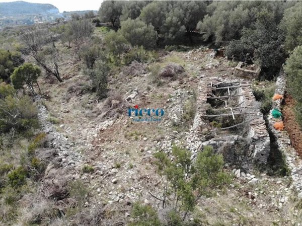 terreno agricolo in vendita a Camerota in zona Lentiscosa
