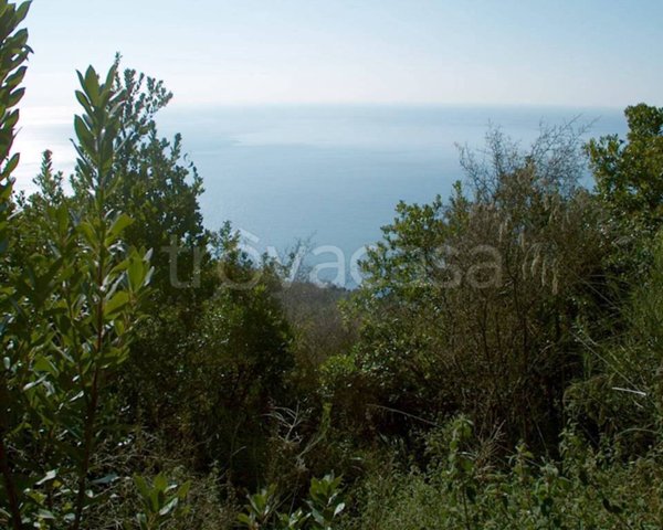 casa indipendente in vendita a Camerota