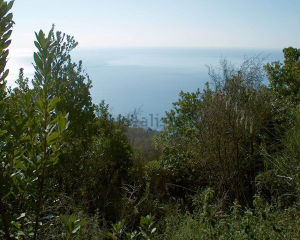 terreno edificabile in vendita a Camerota in zona Marina di Camerota