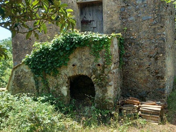 terreno agricolo in vendita a Camerota in zona Licusati