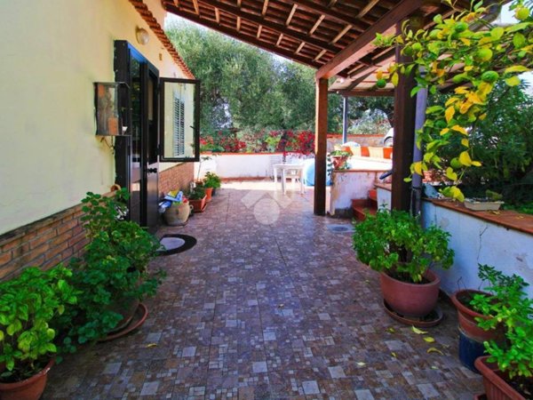 casa indipendente in vendita a Camerota in zona Marina di Camerota