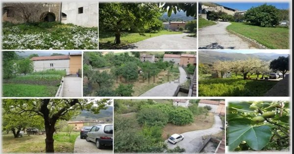 appartamento in vendita a Camerota