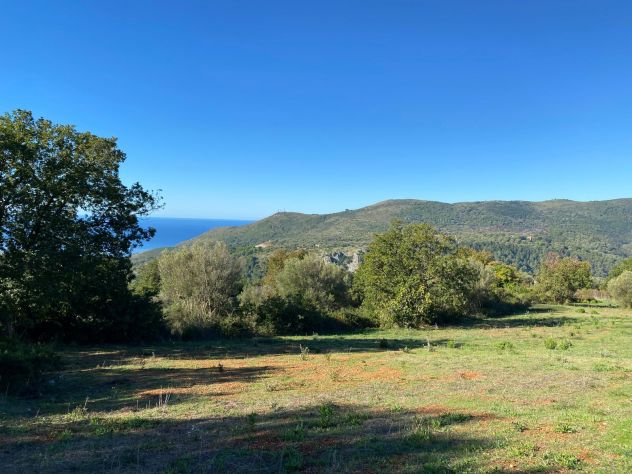 terreno agricolo in vendita a Camerota