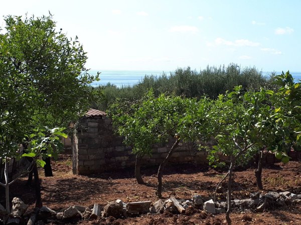 rudere in vendita a Camerota in zona Marina di Camerota