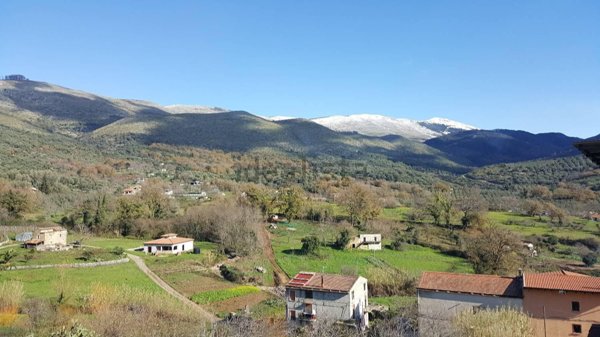 appartamento in vendita a Camerota