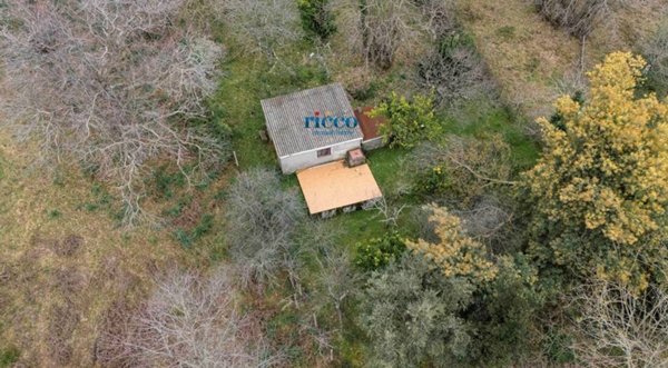 terreno agricolo in vendita a Camerota