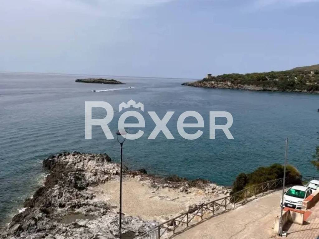 immagine annuncio 0 di 1