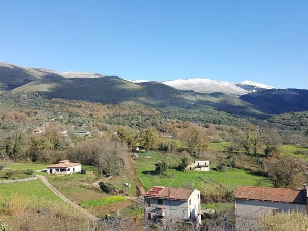 appartamento in vendita a Camerota