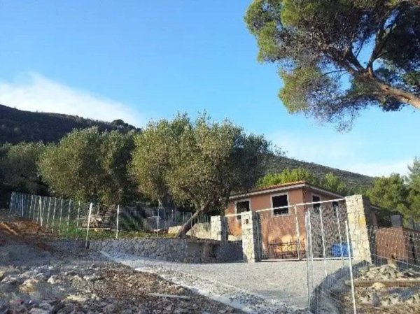 pentavano in vendita a Camerota