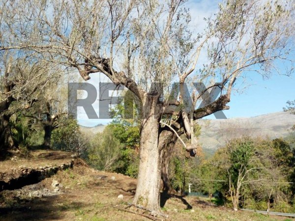 rudere in vendita a Camerota
