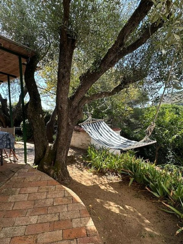 appartamento in vendita a Camerota