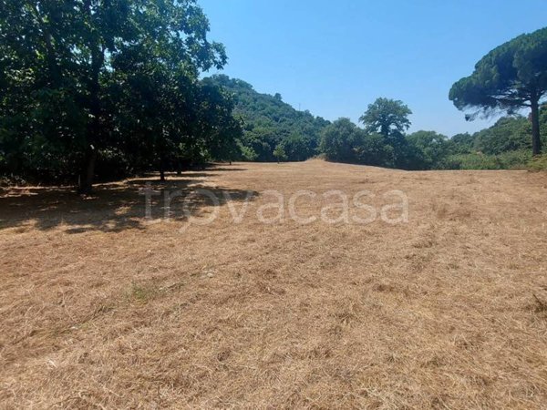terreno agricolo in vendita a Campagna