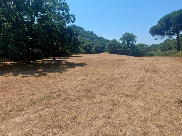terreno agricolo in vendita a Campagna