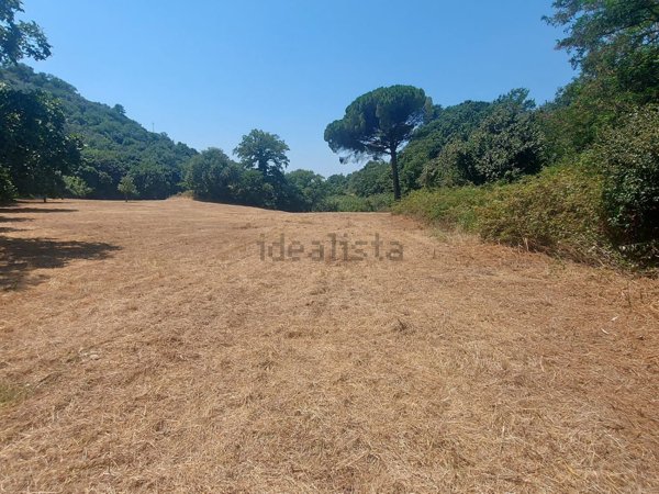 terreno agricolo in vendita a Campagna